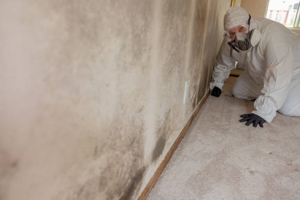 Best Indoor Air Quality Assessment  in Astor, FL